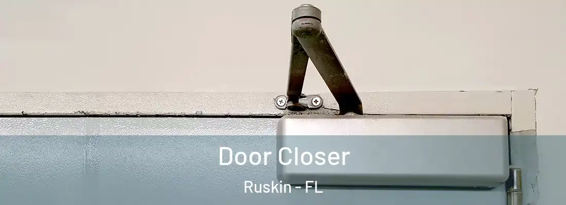 Door Closer Ruskin - FL