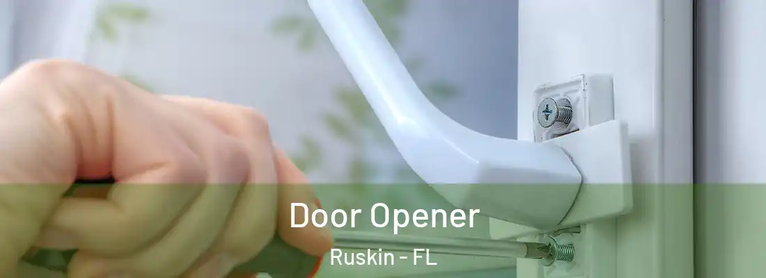 Door Opener Ruskin - FL