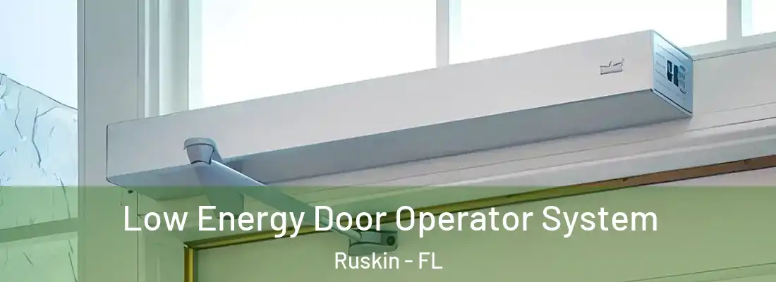  Low Energy Door Operator System Ruskin - FL