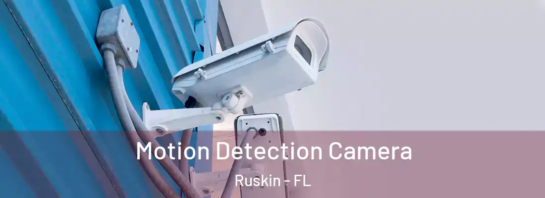  Motion Detection Camera Ruskin - FL