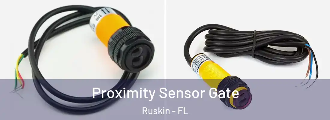 Proximity Sensor Gate Ruskin - FL